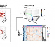 AI로 갑상선암 진단 정확도 높인다!