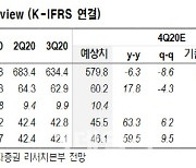 팬오션, LNG선 확대로 디스카운트 요인 해소..목표가↑-NH