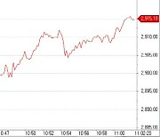 코스피 첫 거래일 사상 첫 '2900선' 돌파..동학개미의 힘