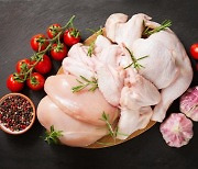 친환경 유기농 닭고기, 실제로는 '안 친환경'(연구)