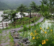 괴산군, 산막이옛길에 생태문화 숲 조성