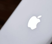 애플, 2020년 1년간 시가총액 1조 달러 증가