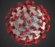 "영국발 변이 바이러스 10월 미국에 이미 퍼졌을 수도" 유전자 분석 결과