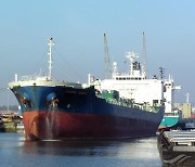 외교부 "이란 억류 韓선박 선원들 안전..억류 해제 요청"