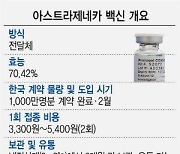 식약처 'AZ 백신' 심사 착수.."40일내 허가 목표"