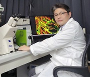 삼성이 지원한 연구팀, 자폐증·조현병·치매 치료 가능성 높였다