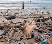 '쓰레기 천국' 된 발리..이틀동안 해변 쓰레기 90톤 수거