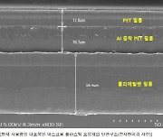 ㈜애니켐, 마스크용 친환경 항균 코팅 종이 포장재 개발 성공