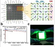 페로브스카이트 LED로 초고화질 디스플레이 시대 연다