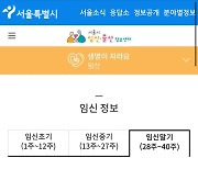 "남편 반찬 챙겨놓기"..만삭 임산부 분노케한 서울시 사이트