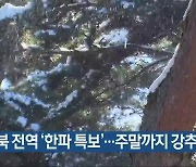 충북 전역 '한파 특보'..주말까지 강추위