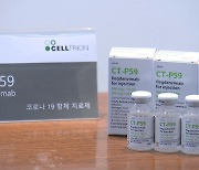 셀트리온 코로나 치료제 임상 2상 결과 13일 공개