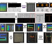 미세입자에 '다중 위조 방지 장치' 구현..UNIST, 원천기술 개발