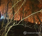 의정부 수락산 정상 부근서 산불..0.05㏊ 태우고 꺼져