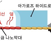 뇌 신경 구조 더 정교하게 모방..신경네트워크 실시간으로 조절