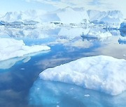 녹아내리는 북극곰 터전.."2035년 해빙 사라질 것"