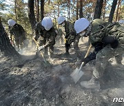 영덕 산불 진화 작전에 투입된 육군 50 보병 사단