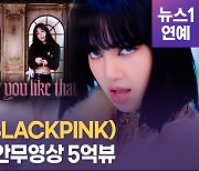 [영상] 블랙핑크(BLACKPINK) 안무영상 'K-POP 최초' 5억뷰 돌파