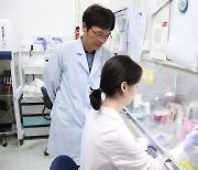 노벨상 수상 '유전자가위'로 癌 진단정확도 확 높인다