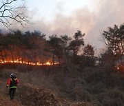 경북 영덕군 야산서 화재 발생.. 산림 당국 진화 나서