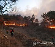 경북 영덕군 산불 발생