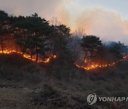 경북 영덕군 야산서 불..산림 당국 "진화 중"
