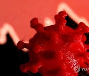 "남아공 변이 바이러스, 코로나 백신 완전 무효화 못할 것"