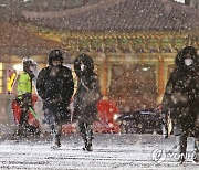 [날씨] 서울 한낮 -10도 '최강 한파'..중부·남부 많은 눈