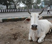 INDIA COW ONLINE EXAMINATION