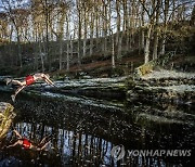 Britain Charity Swim