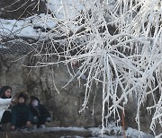 [오늘의 날씨]대전·충남(7일, 목)..강추위, 8일까지 3~20cm 눈