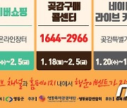'감고을' 영동 온라인 곶감축제..18일부터 2월15일까지