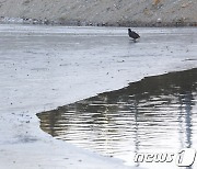 부산 퇴근길도 영하 6도 이하 꽁꽁..밤에는 한파주의보