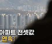 [나이트포커스] 서울 아파트 전셋값 80주 연속 상승