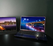 새해 OLED 노트북 20여 종 '봇물'..번인은?
