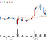 신풍제약, +10.70% VI 발동