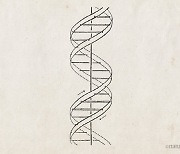 [사이언스N사피엔스] DNA의 이중나선 구조