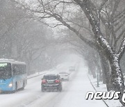 한라산 '눈폭탄'..윗세오름·진달래밭 적설량 측정 안돼