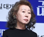 '미나리' 윤여정, 美 영화 협회·시상식 연기상 7관왕 등극