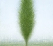 [사진이 있는 아침] 숲이 된 미루나무