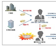 아빠에게 돈 빌려 집 샀다고?  국세청 "탈루 의심되면 탈탈 턴다"