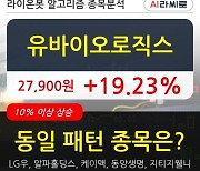 유바이오로직스, 주가 반등 현재는 +19.23%.. 최근 주가 상승흐름 유지