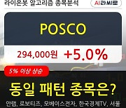 POSCO, 전일대비 5.0% 상승.. 최근 주가 상승흐름 유지