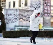 베이징도 기록적 맹추위..강풍에 체감온도 '영하 31도'