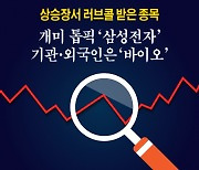 [카드뉴스] 상승장서 러브콜 받은 종목