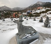 산청 동의보감촌 광장의 소 동상 설경