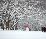 '내장산국립공원에 자리잡은 눈사람'