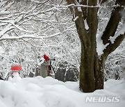 '눈 내린 내장산 사진 담는 시민들'