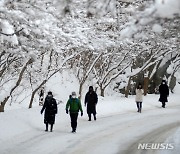 '눈 쌓인 내장산 산책하는 시민들'