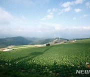 태백시, 농·수산물 안전관리 종합평가 '우수'